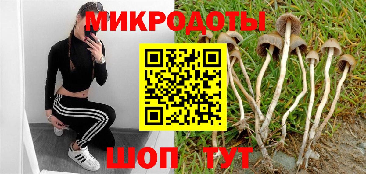 Можайск  Псилоцибиновые грибы прущие грибы  Псилоцибиновые грибы Magic Shrooms  Вход с VPN 