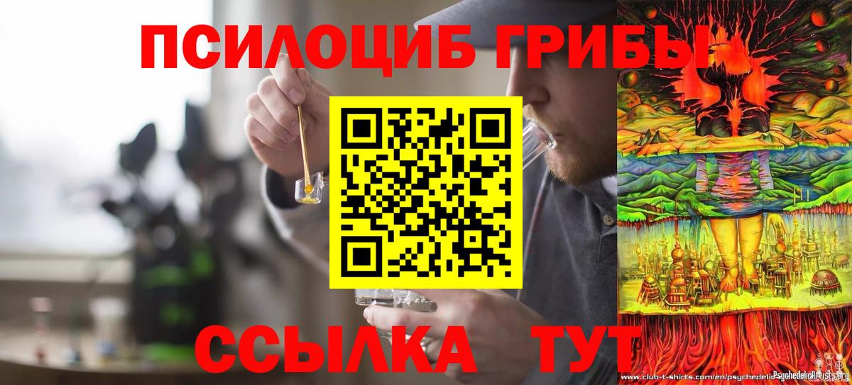 Галлюциногенные грибы GOLDEN TEACHER Можайск